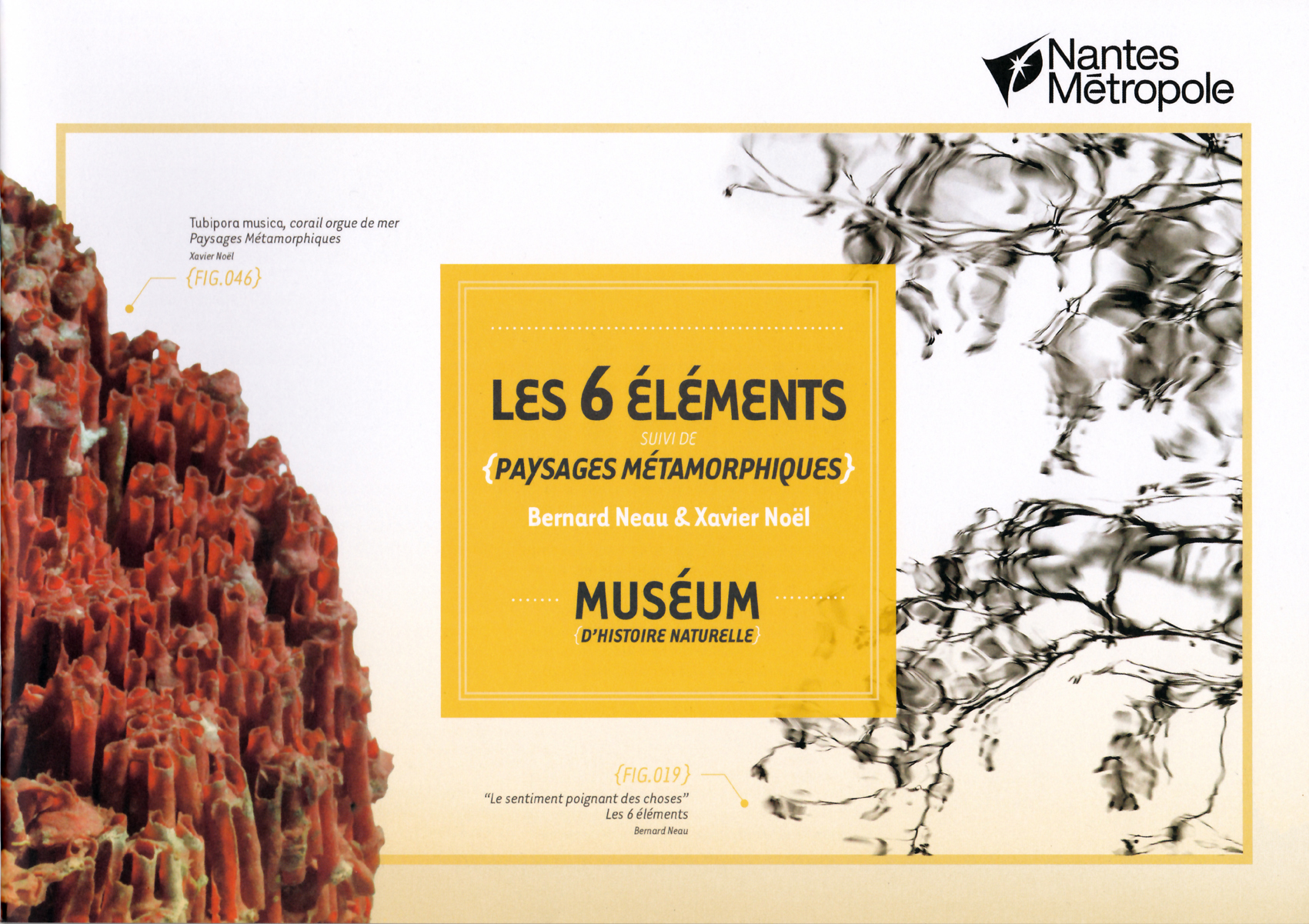 Catalogue de l’exposition au Muséum de Nantes-Métropole, 2016 Catalogue de l’exposition au Muséum de Nantes-Métropole, 2016