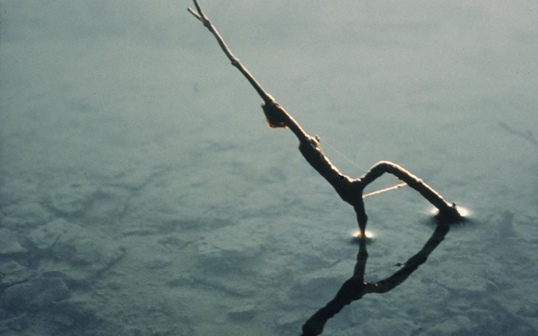 La Légende des Immobiles récit photographique