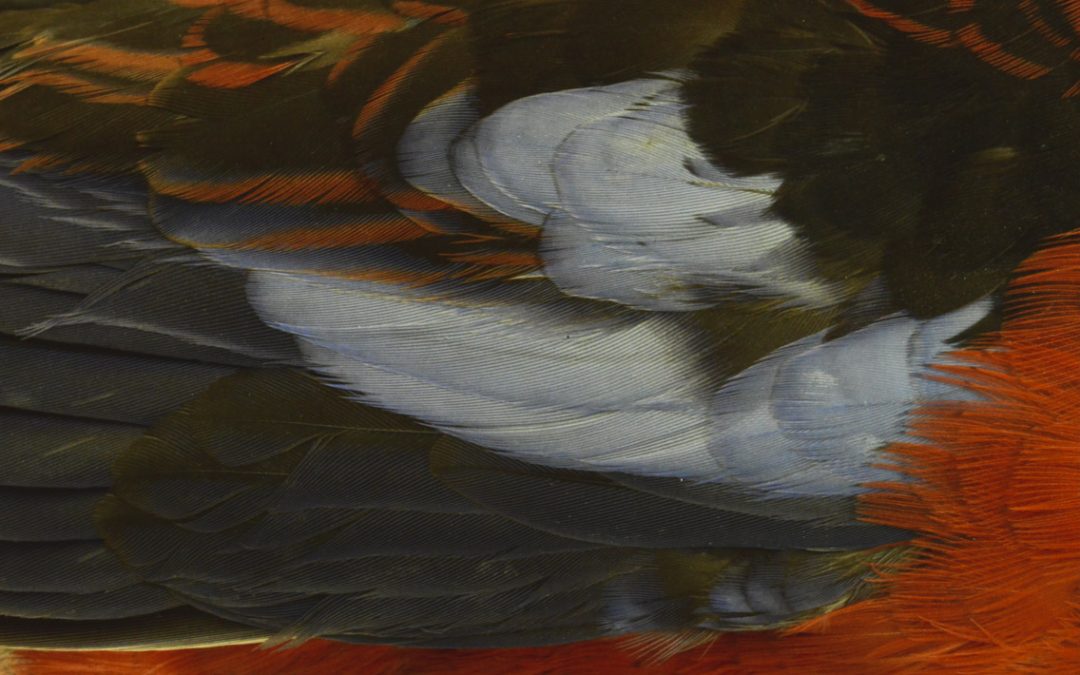 Paysages métamorphiques Photographies Xavier Noël, Bernard Neau