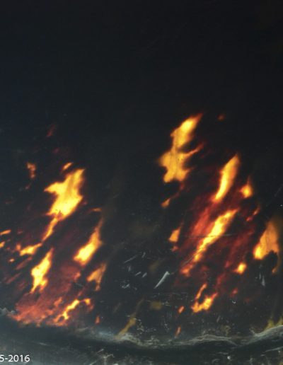 « Sur le Phlégéthon » - « Down by the Phlegeton » - Eretmochelys imbricata, Tortue marine à écailles - Hawksbill sea turtle - Xavier Noël