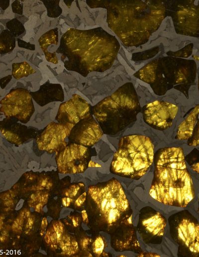 Météorite pallasite, Fukang, Chine - Stony  iron  meteorite - Xavier Noël